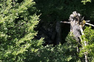 Un Suisse âgé de 71 ans a vraisemblablement chuté avec sa voiture sur une pente raide et s'est blessé mortellement vendredi, près de Quinten (SG).